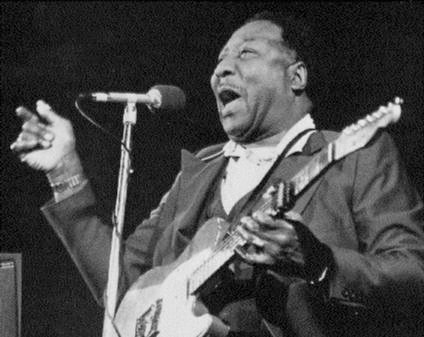 Muddy Waters_02